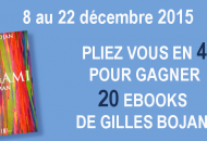 Quiz Origami, roman de Gilles Bojan - 20 ebooks à gagner !